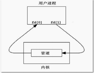 image-20210314212606622