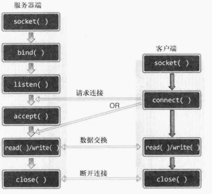 image-20210313180346859